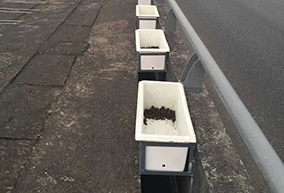 公路、橋梁綠化花盆